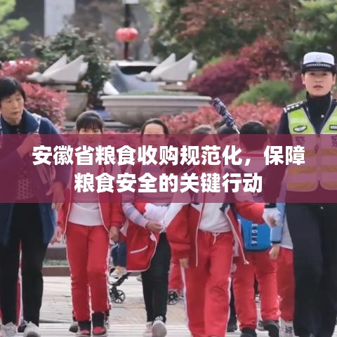 安徽省糧食收購規(guī)范化，保障糧食安全的關鍵行動