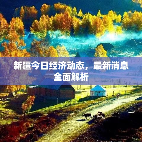 新疆今日經(jīng)濟(jì)動態(tài)，最新消息全面解析