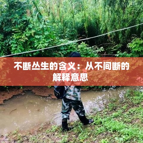 不斷叢生的含義：從不間斷的解釋意思 