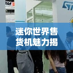 迷你世界售貨機(jī)魅力揭秘，排名與探索微型售貨機(jī)的無限魅力