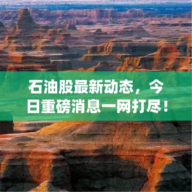 石油股最新動(dòng)態(tài)，今日重磅消息一網(wǎng)打盡！