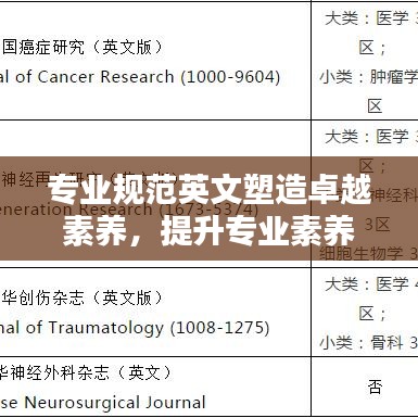 專業(yè)規(guī)范英文塑造卓越素養(yǎng)，提升專業(yè)素養(yǎng)的關鍵之道