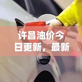 許昌油價今日更新，最新油價信息一覽