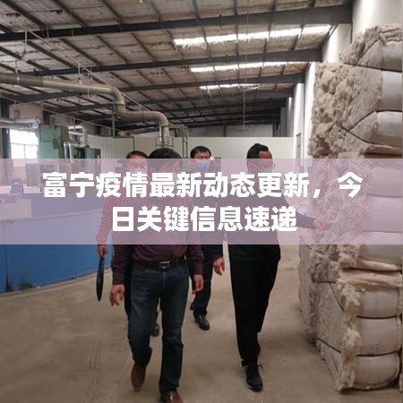 富寧疫情最新動態(tài)更新，今日關(guān)鍵信息速遞