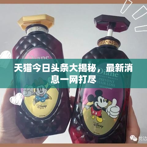 難能可貴 第2頁