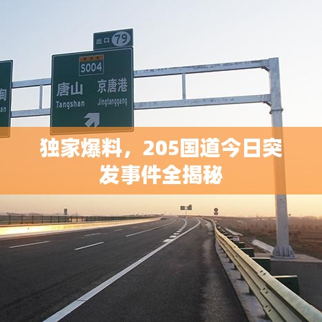 獨(dú)家爆料，205國(guó)道今日突發(fā)事件全揭秘