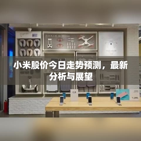 小米股價今日走勢預(yù)測，最新分析與展望