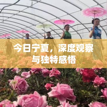 今日寧夏，深度觀察與獨(dú)特感悟