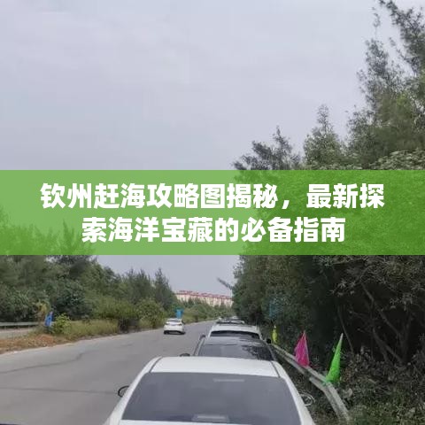 欽州趕海攻略圖揭秘，最新探索海洋寶藏的必備指南