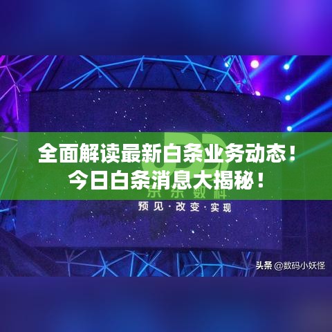 全面解讀最新白條業(yè)務(wù)動(dòng)態(tài)！今日白條消息大揭秘！