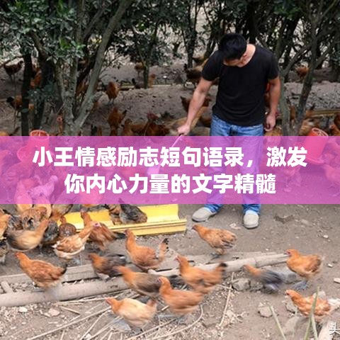 花香鳥語 第2頁(yè)