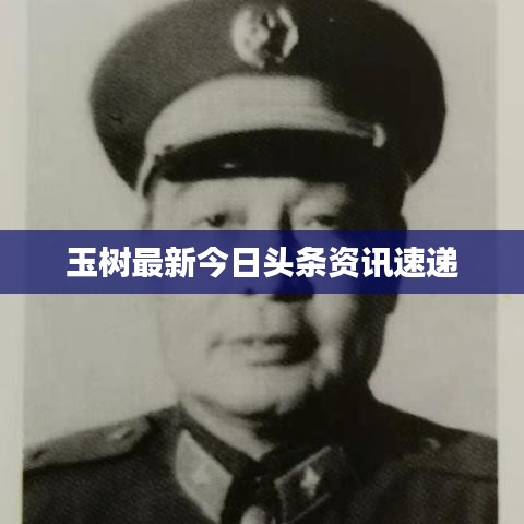 玉樹(shù)最新今日頭條資訊速遞