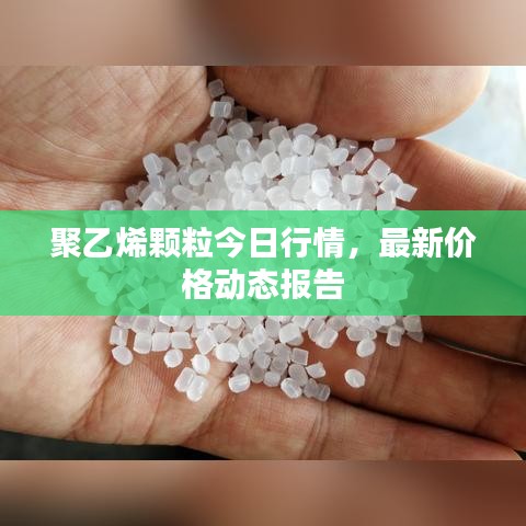 司空見(jiàn)慣 第2頁(yè)