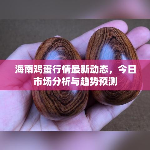 海南雞蛋行情最新動態(tài)，今日市場分析與趨勢預測