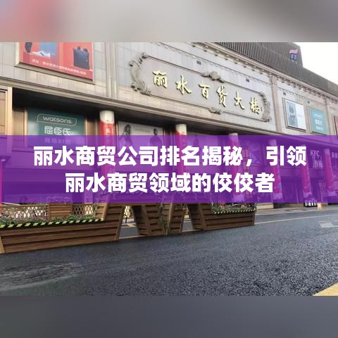 麗水商貿(mào)公司排名揭秘，引領(lǐng)麗水商貿(mào)領(lǐng)域的佼佼者