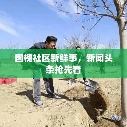 國槐社區(qū)新鮮事，新聞頭條搶先看
