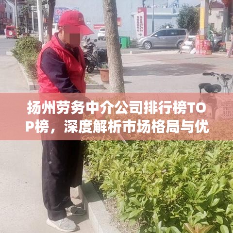 揚州勞務(wù)中介公司排行榜TOP榜，深度解析市場格局與優(yōu)質(zhì)服務(wù)商！