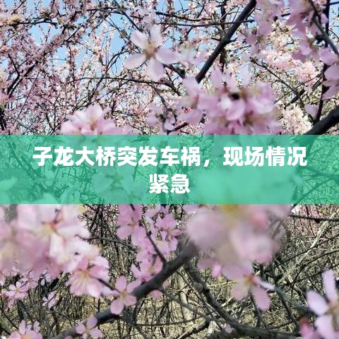 子龍大橋突發(fā)車禍，現(xiàn)場情況緊急