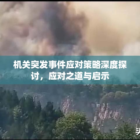 機(jī)關(guān)突發(fā)事件應(yīng)對策略深度探討，應(yīng)對之道與啟示