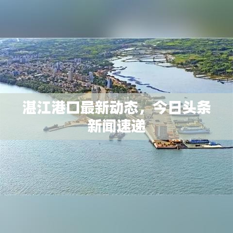 湛江港口最新動態(tài)，今日頭條新聞速遞