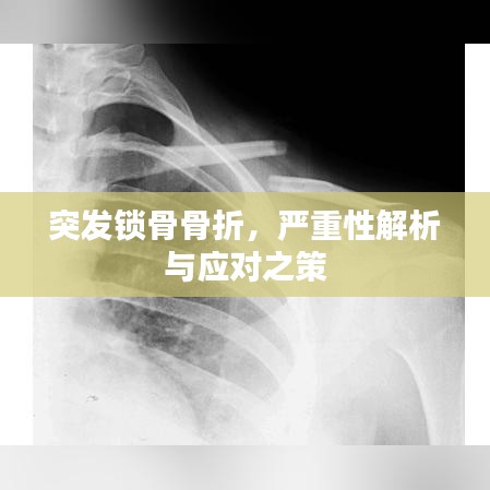 犯而不校 第2頁
