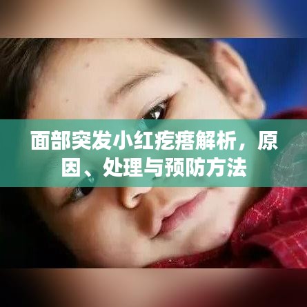 面部突發(fā)小紅疙瘩解析，原因、處理與預(yù)防方法