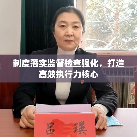 制度落實(shí)監(jiān)督檢查強(qiáng)化，打造高效執(zhí)行力核心