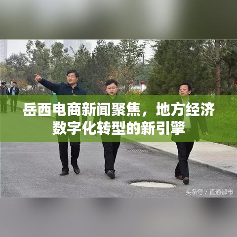 岳西電商新聞聚焦，地方經(jīng)濟數(shù)字化轉(zhuǎn)型的新引擎