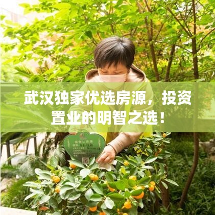 武漢獨(dú)家優(yōu)選房源，投資置業(yè)的明智之選！