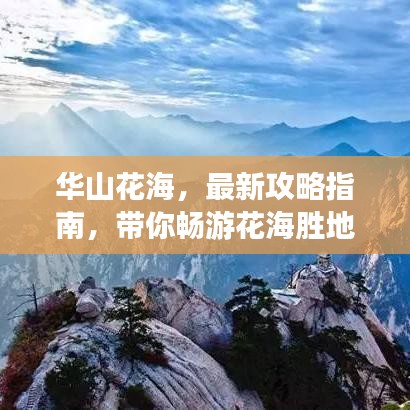 華山花海，最新攻略指南，帶你暢游花海勝地！