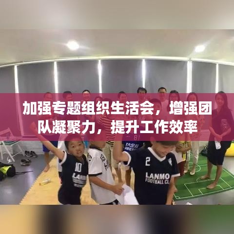 加強(qiáng)專題組織生活會(huì)，增強(qiáng)團(tuán)隊(duì)凝聚力，提升工作效率