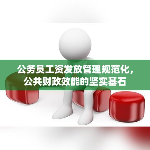公務員工資發(fā)放管理規(guī)范化，公共財政效能的堅實基石