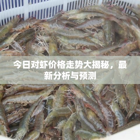今日對蝦價格走勢大揭秘，最新分析與預測