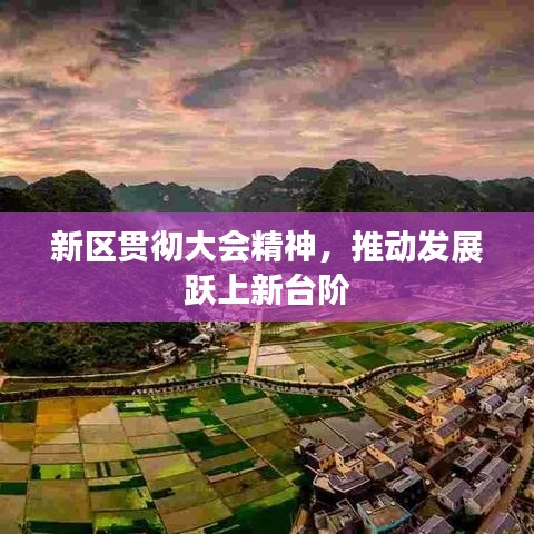 新區(qū)貫徹大會精神，推動發(fā)展躍上新臺階