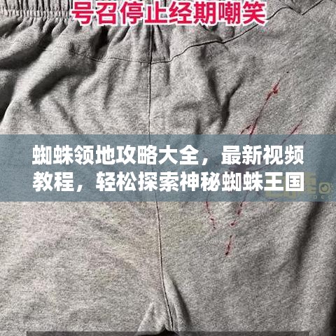 蜘蛛領(lǐng)地攻略大全，最新視頻教程，輕松探索神秘蜘蛛王國！