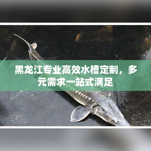 黑龍江專業(yè)高效水槽定制，多元需求一站式滿足