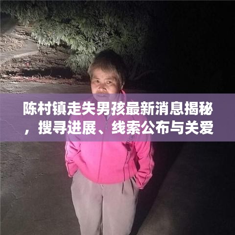 陳村鎮(zhèn)走失男孩最新消息揭秘，搜尋進(jìn)展、線索公布與關(guān)愛(ài)行動(dòng)啟動(dòng)
