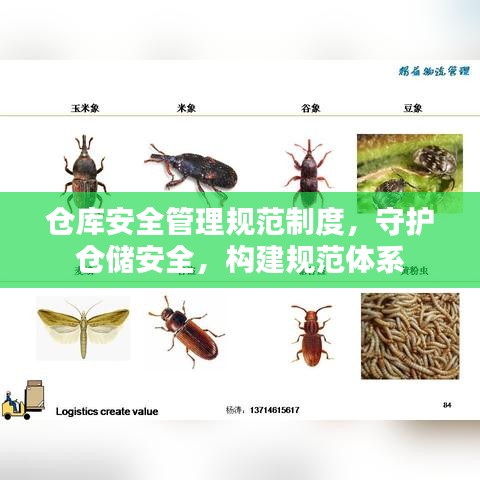 倉庫安全管理規(guī)范制度，守護倉儲安全，構建規(guī)范體系