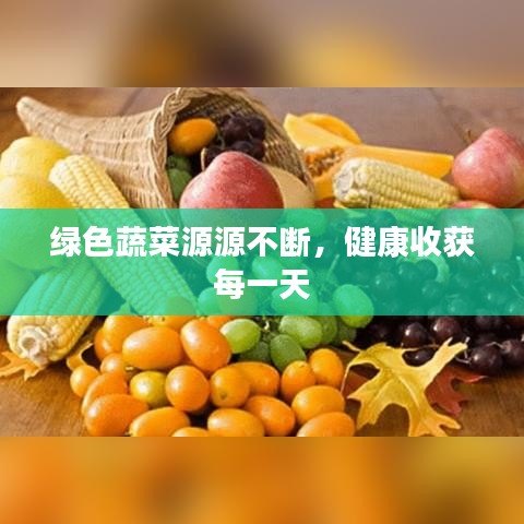 綠色蔬菜源源不斷，健康收獲每一天