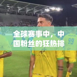 全球賽事中，中國粉絲的狂熱排名揭秘！
