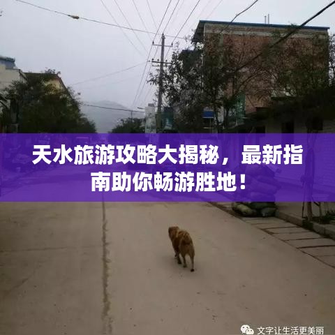 天水旅游攻略大揭秘，最新指南助你暢游勝地！