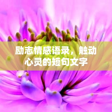 就湯下面 第2頁