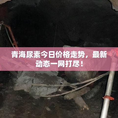 青海尿素今日價格走勢，最新動態(tài)一網(wǎng)打盡！
