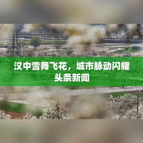 漢中雪舞飛花，城市脈動(dòng)閃耀頭條新聞