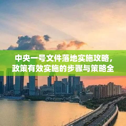 中央一號(hào)文件落地實(shí)施攻略，政策有效實(shí)施的步驟與策略全解析