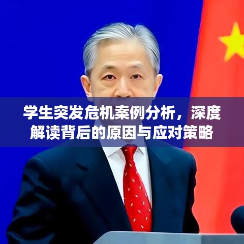 學(xué)生突發(fā)危機案例分析，深度解讀背后的原因與應(yīng)對策略