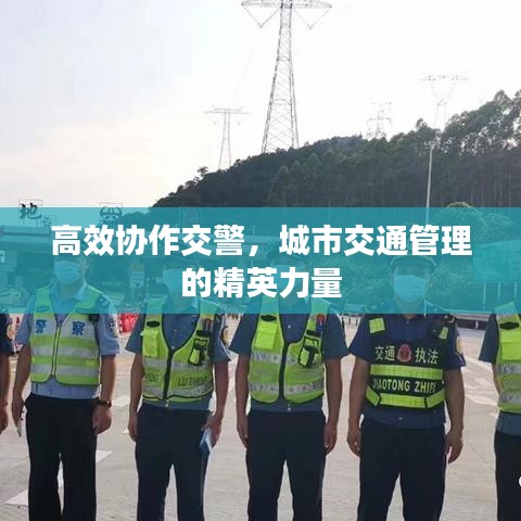 高效協(xié)作交警，城市交通管理的精英力量