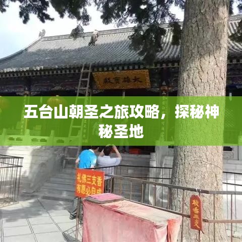 五臺(tái)山朝圣之旅攻略，探秘神秘圣地