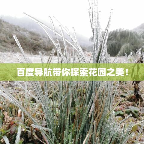 百度導(dǎo)航帶你探索花園之美！