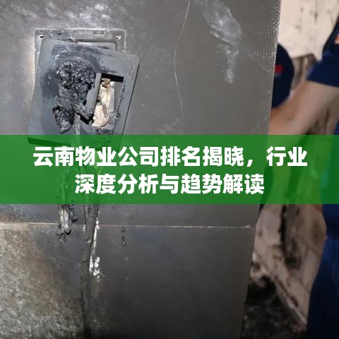 云南物業(yè)公司排名揭曉，行業(yè)深度分析與趨勢解讀